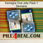 Kamagra Oral Jelly 1 Week Pack viagra5